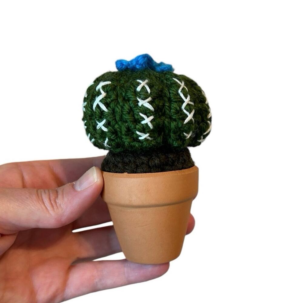 Crochet Ball cactus with blue flower Handmade